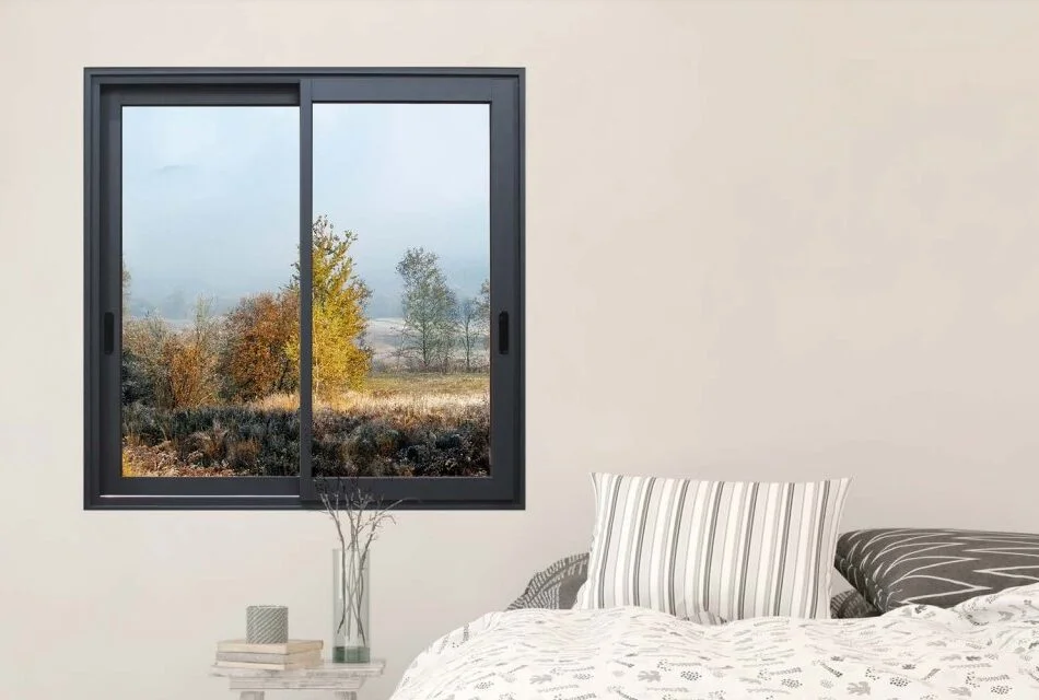 Cortizo Sliding Windows view 2